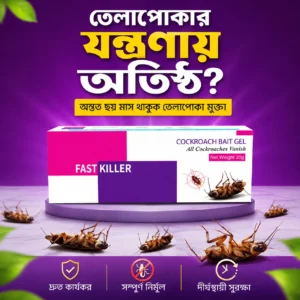 তেলাপোকা নিয়ন্ত্রণে সহজ সমাধান ১ পিচ